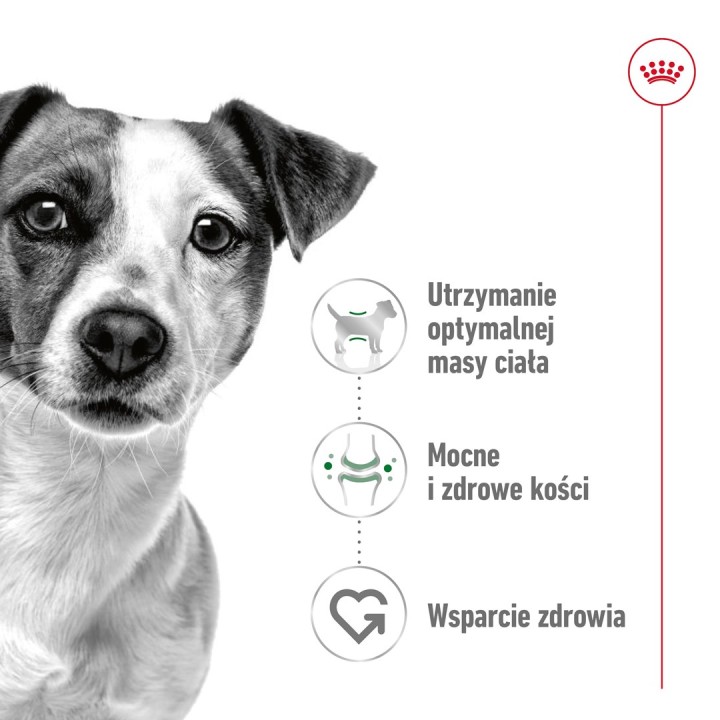 ROYAL CANIN Adult Mini S - cibo secco per cani - 4kg