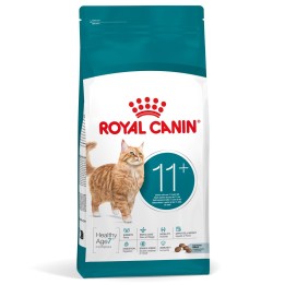 ROYAL CANIN Ageing 11+ - cibo secco per gatti - 4kg