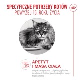 ROYAL CANIN Ageing 15+ - cibo secco per gatti - 4kg