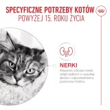 ROYAL CANIN Ageing 15+ - cibo secco per gatti - 4kg