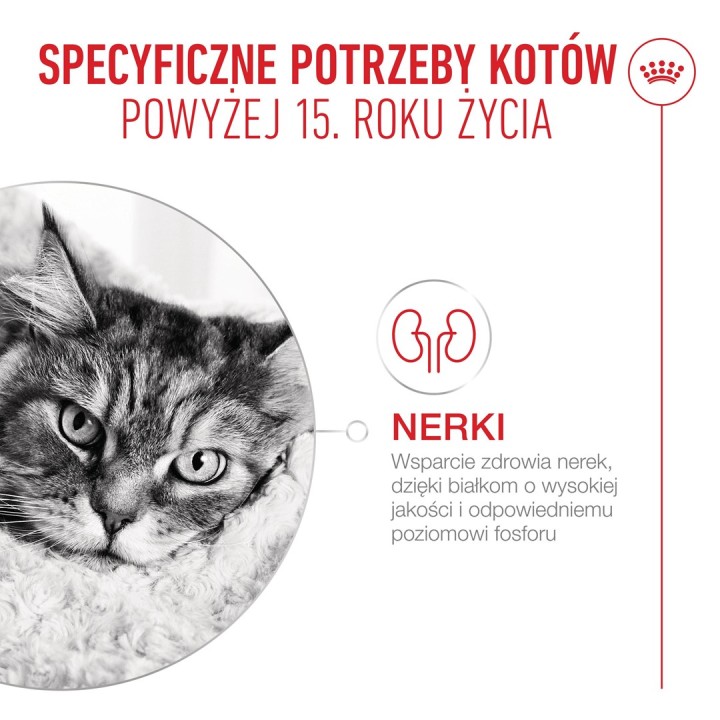 ROYAL CANIN Ageing 15+ - cibo secco per gatti - 4kg