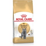 ROYAL CANIN British Shorthair - cibo secco gatti - 2 kg