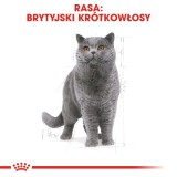 ROYAL CANIN British Shorthair - cibo secco gatti - 2 kg