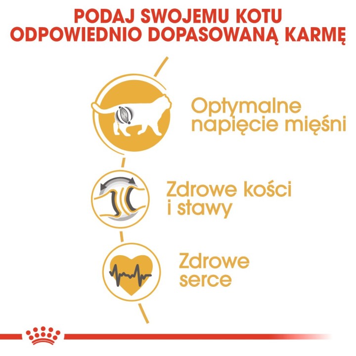 ROYAL CANIN British Shorthair - cibo secco gatti - 2 kg