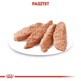 ROYAL CANIN Dermacomfort - cibo umido per cani - 12 x 85 g