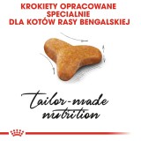 ROYAL CANIN FBN Bengal Adult - cibo secco per gatti - 10kg