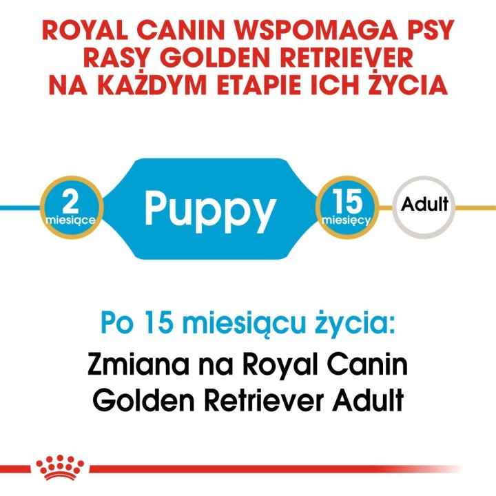 ROYAL CANIN Golden Retriever Puppy - cibo secco per cani - 12 kg