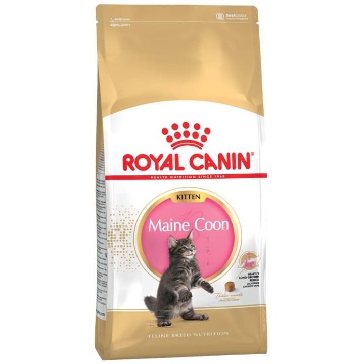 ROYAL CANIN Maine Coon Cucciolo - cibo secco per gatti - 2 kg
