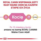 ROYAL CANIN Maine Coon Cucciolo - cibo secco per gatti - 2 kg