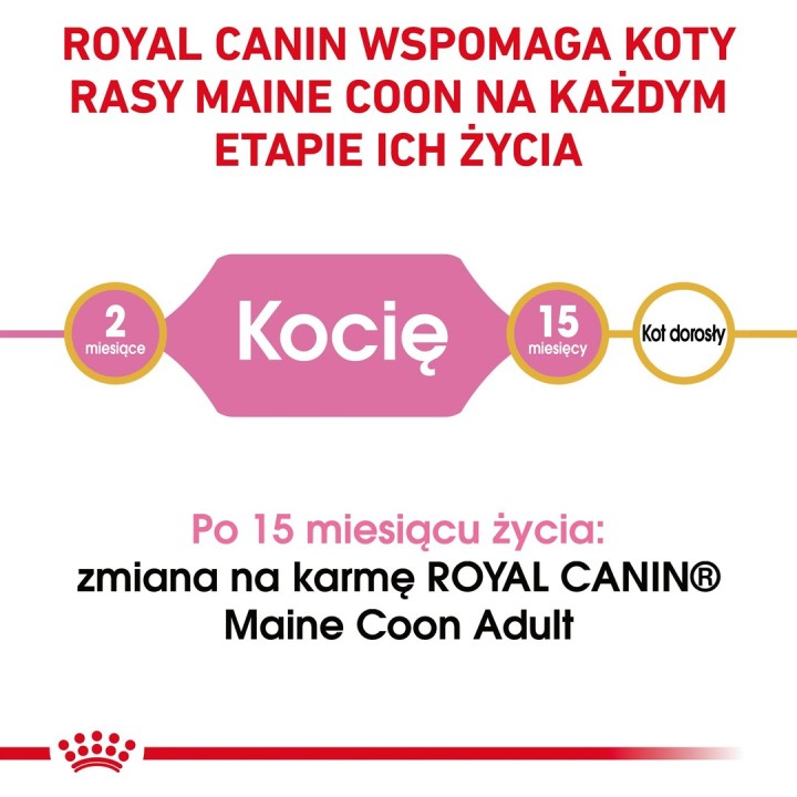 ROYAL CANIN Maine Coon Cucciolo - cibo secco per gatti - 2 kg