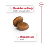 ROYAL CANIN Maxi Adult 5+ - cibo secco per cani - 15 kg