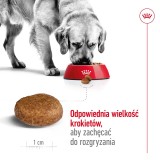 ROYAL CANIN Maxi Adult 5+ - cibo secco per cani - 15 kg
