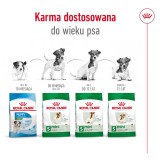 ROYAL CANIN Mini Adulto +8 - cibo secco per cani - 2 kg