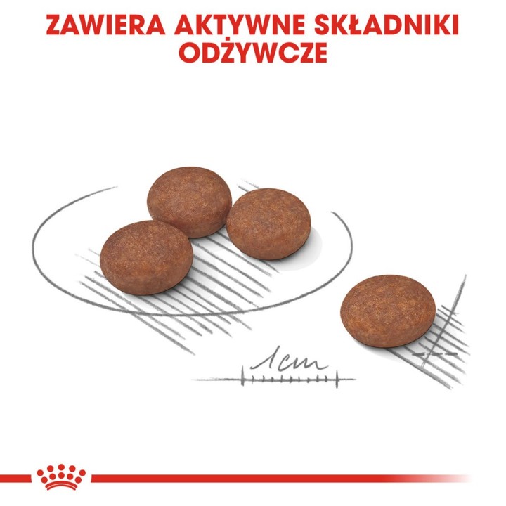 ROYAL CANIN Mini Digestive Care - cibo secco per cani adulti di piccole razze - 1kg