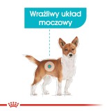 ROYAL CANIN Mini Urinary Care - cibo secco per cani - 3 kg