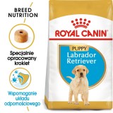 ROYAL CANIN SHN Breed Labrador Junior cibo secco per cani - 12 kg