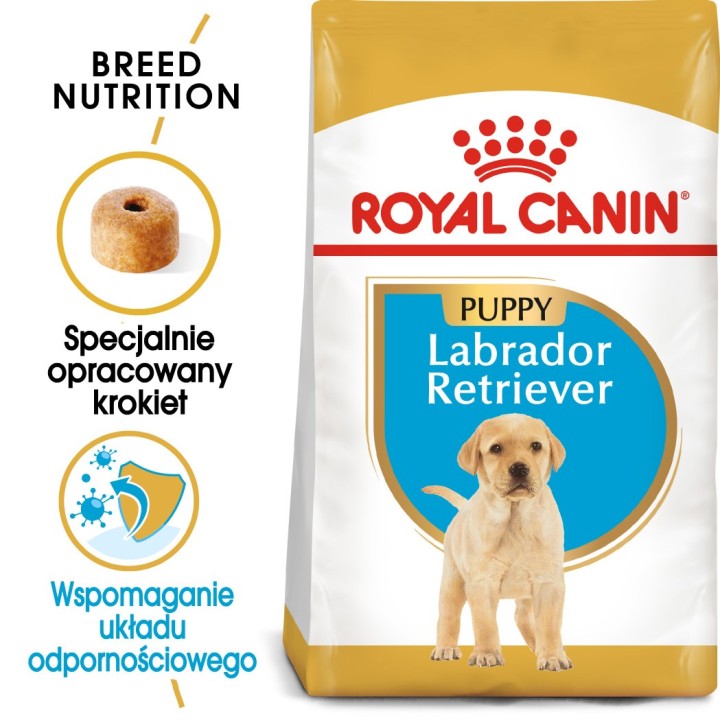ROYAL CANIN SHN Breed Labrador Junior cibo secco per cani - 12 kg