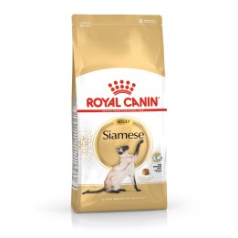 ROYAL CANIN Siamese Adult - cibo secco per gatti - 2 kg