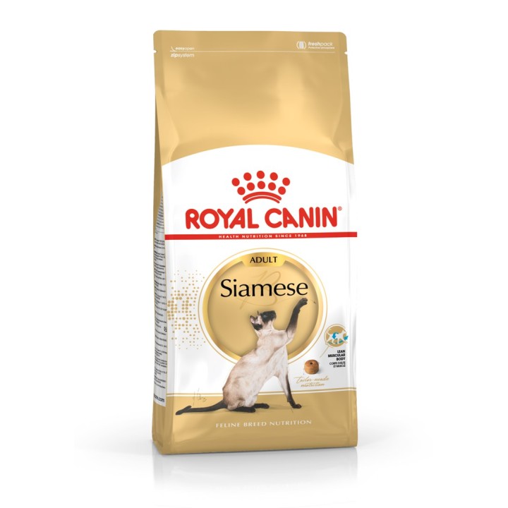 ROYAL CANIN Siamese Adult - cibo secco per gatti - 2 kg
