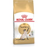 ROYAL CANIN Siamese Adult - cibo secco per gatti - 2 kg