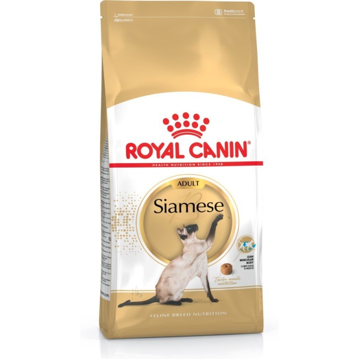 ROYAL CANIN Siamese Adult - cibo secco per gatti - 2 kg