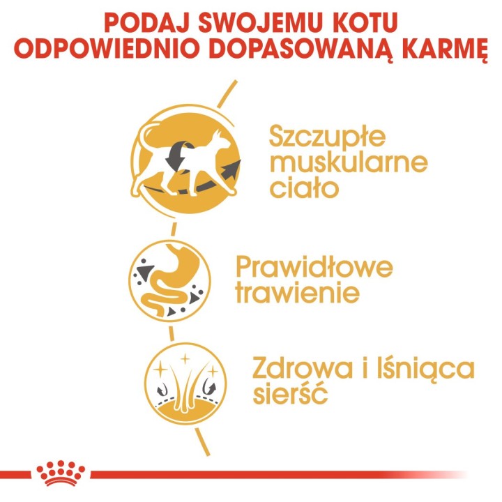 ROYAL CANIN Siamese Adult - cibo secco per gatti - 2 kg