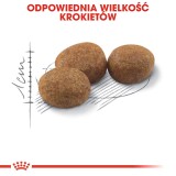 ROYAL CANIN Sterilised 37 - cibo secco per gatti - 10 kg