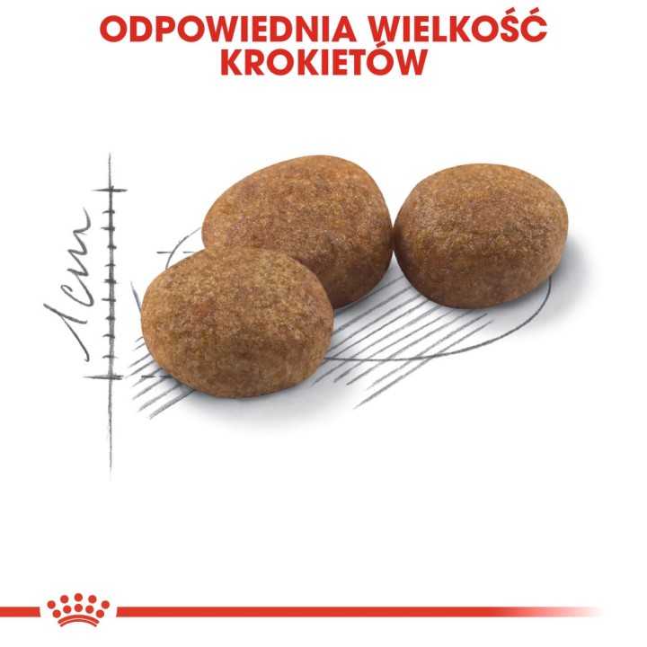 ROYAL CANIN Sterilised 37 - cibo secco per gatti - 10 kg