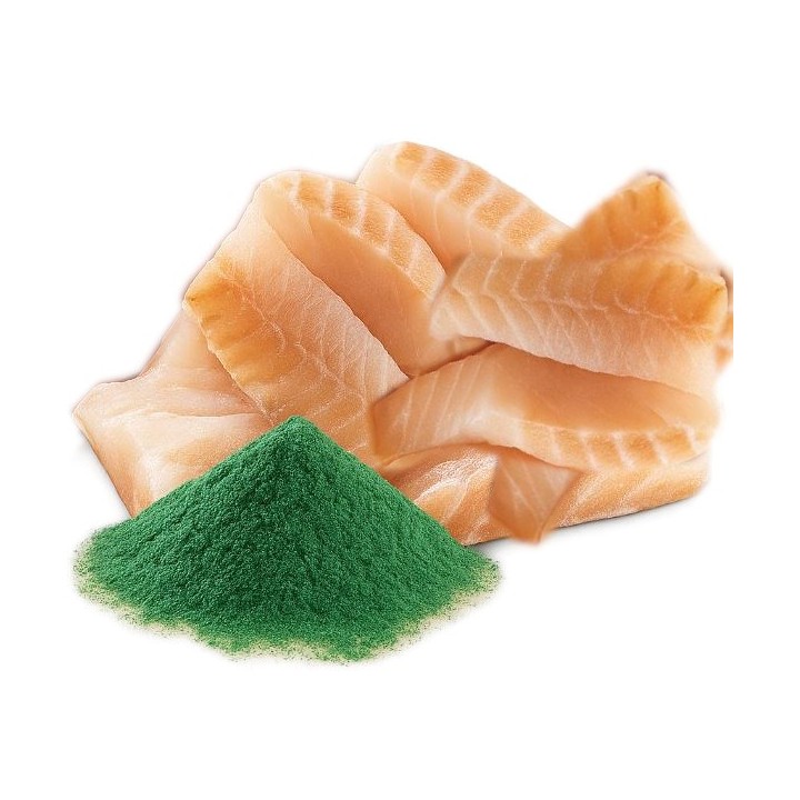 SHELMA con merluzzo in salsa - cibo umido per gatti - 85g