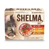 SHELMA Con tacchino anatra pollo e manzo in salsa - cibo umido per gatti - 12x85g