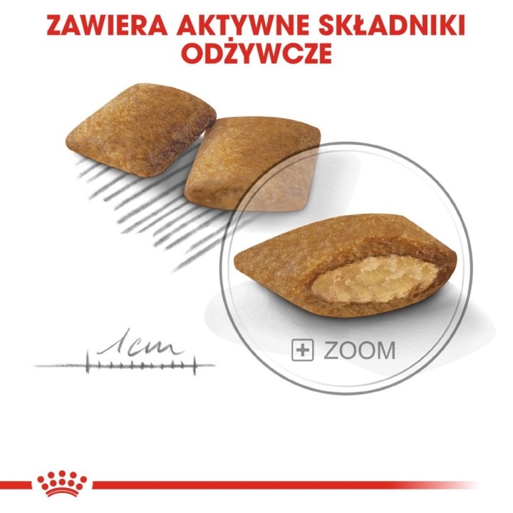 Royal Canin CCN MINI EXIGENT - cibo secco per cani adulti - 3kg