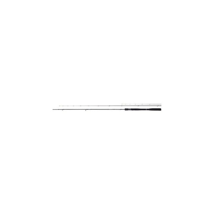 Shimano AERO X1A FEEDER Canna da pesca 3 05m 60g 2 pz.+punte