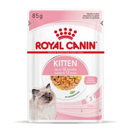 Royal Canin FHN Kitten Instinctive in gelatina - cibo umido per gattini - 12x85g