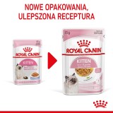 Royal Canin FHN Kitten Instinctive in gelatina - cibo umido per gattini - 12x85g