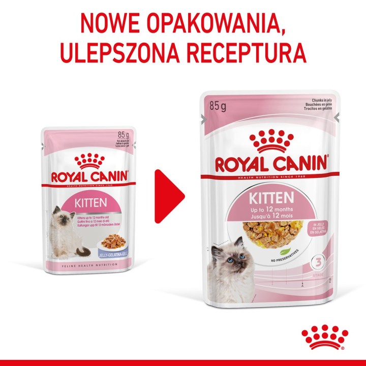 Royal Canin FHN Kitten Instinctive in gelatina - cibo umido per gattini - 12x85g