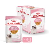 Royal Canin FHN Kitten Instinctive in gelatina - cibo umido per gattini - 12x85g