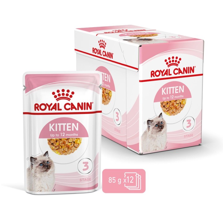 Royal Canin FHN Kitten Instinctive in gelatina - cibo umido per gattini - 12x85g
