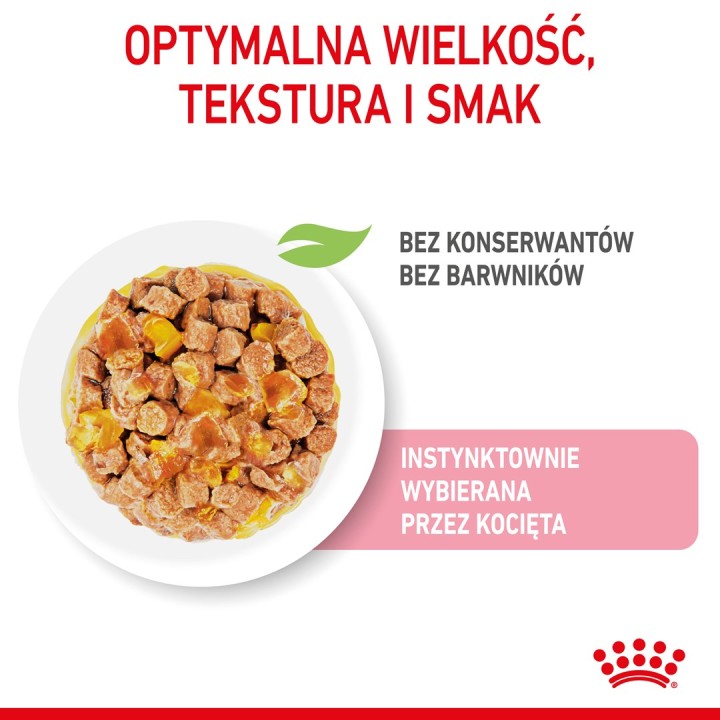 Royal Canin FHN Kitten Instinctive in gelatina - cibo umido per gattini - 12x85g