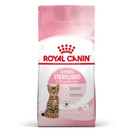 Royal Canin Kitten Sterilised gatti cibo secco 3.5 kg Pollame