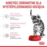 Royal Canin Kitten Sterilised gatti cibo secco 3.5 kg Pollame