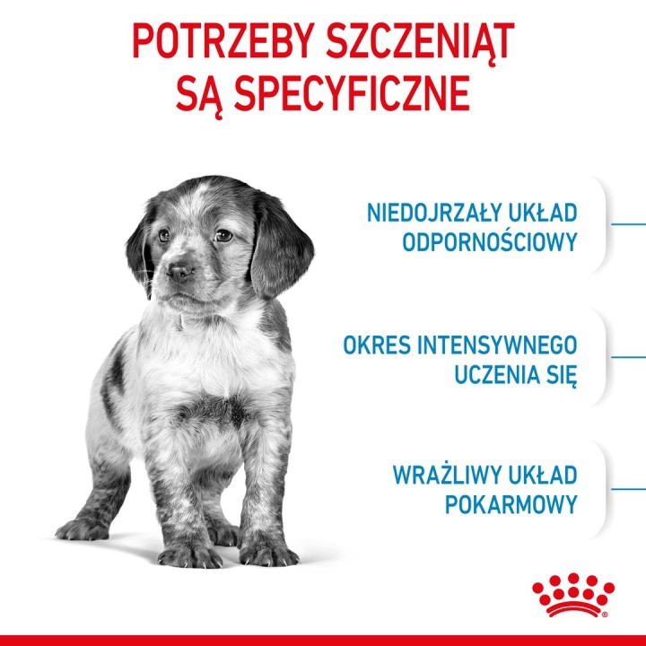 Royal Canin Medium Cucciolo 4 kg Mais Pollame