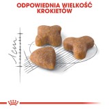 Royal Canin Sensible 33 cibo secco per gatti 10 kg Adult