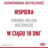 Royal Canin Cura Urinaria cibo secco per gatti Adulto Pollame 2 kg