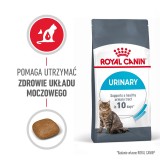 Royal Canin Cura Urinaria cibo secco per gatti Adulto Pollame 2 kg