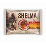 SHELMA Ricco di pollo tacchino manzo e anatra - cibo umido per gatti - 4x85g