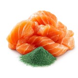 SHELMA con salmone in salsa - cibo umido per gatti - 85g