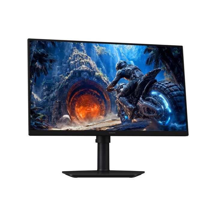 Samsung G40H Monitor per computer 63.5 cm (25 ) 1920 x 1080 pixel Full HD LCD Nero