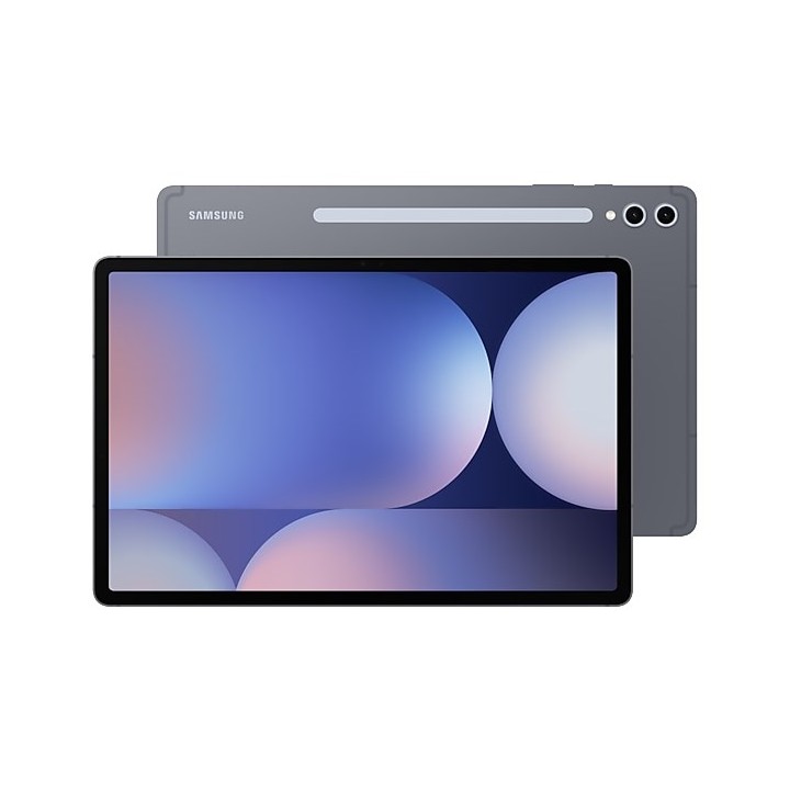 Samsung S10+ 5G 256 GB 31.5 cm (12.4 ) 12 GB Android 14 Grigio
