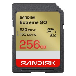 SanDisk Extreme GO 256 GB SDXC UHS-I