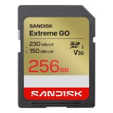 SanDisk Extreme GO 256 GB SDXC UHS-I